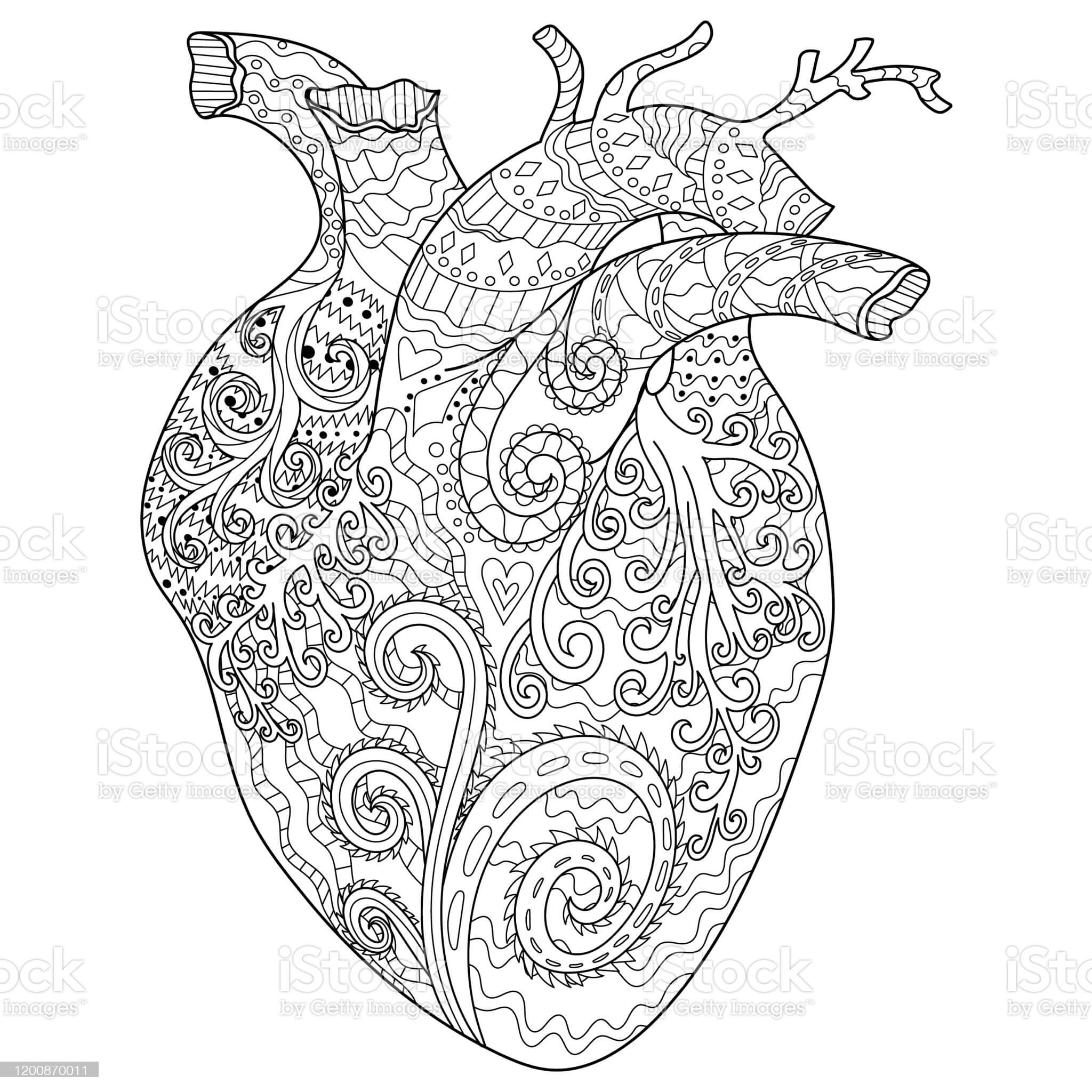 coloring pages of hearts and flowers | love coloring pages for adults | heart coloring pages anatomy