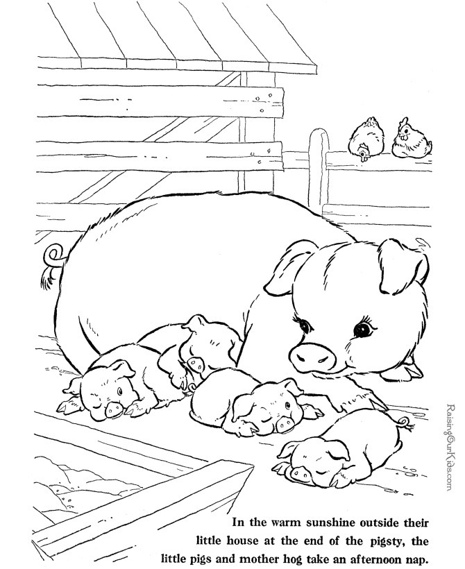 Mama and Baby Pigs | barn and farm animal coloring pages | realistic farm animal coloring pages